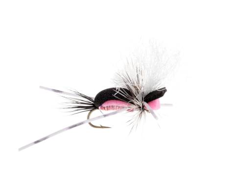 Hippie Stomper Pink 6 Pack CLOSEOUT